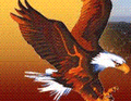 Eagles mascot photo.