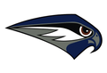Falcons mascot photo.