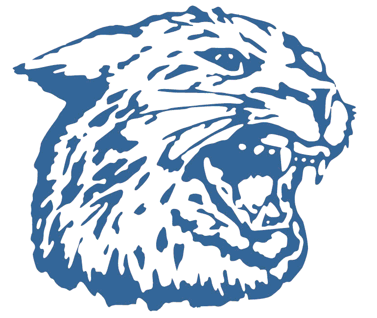 Chase Bruna Hanover HS, Hanover, KS MaxPreps