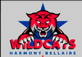 Wildcats mascot photo.