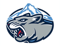 Mountain Lions  mascot photo.