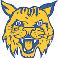 Wildcats mascot photo.