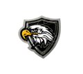 Eagles mascot photo.