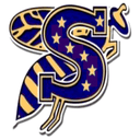 Stephenville logo