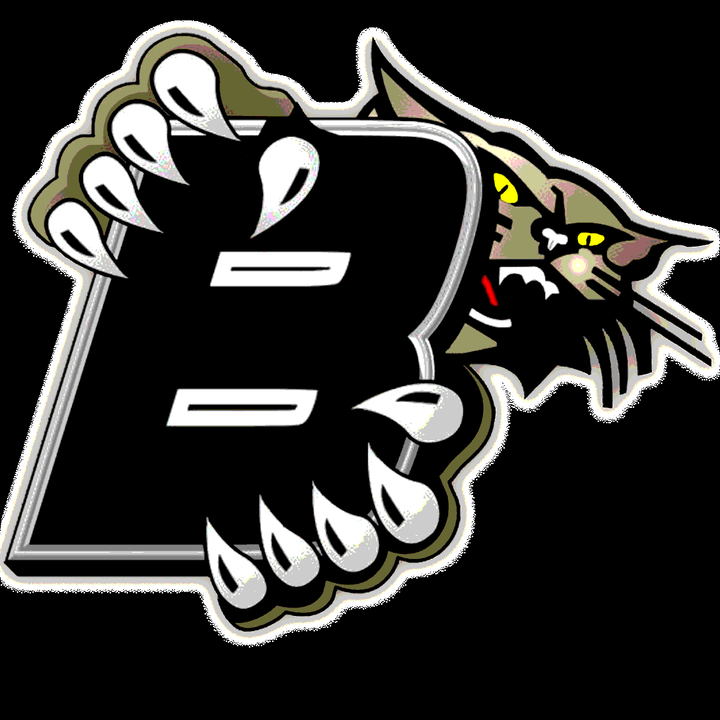 cooper williams Blum HS, Blum, TX MaxPreps