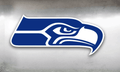 Seahawks mascot photo.