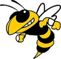 Yellowjackets mascot photo.