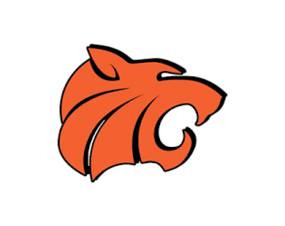 Brady Coffman High School Football Stats Grinnell (Grinnell, IA) MaxPreps
