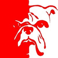 Bulldogs mascot photo.