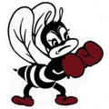 Bees mascot photo.