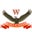Wings Academy