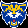 Wildcats mascot photo.
