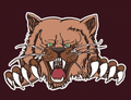 Bearcats mascot photo.