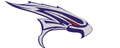 Falcons mascot photo.