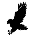 Falcons mascot photo.