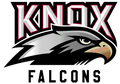 Falcons mascot photo.