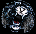 Wildcats mascot photo.