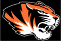 Tigers mascot photo.