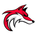 Foxes mascot photo.