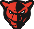 Panthers mascot photo.