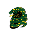 Pythons mascot photo.