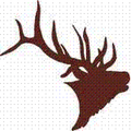 Elks mascot photo.