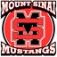 Mount Sinai High School 