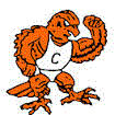 Fighting Orioles mascot photo.