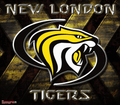 Tigers mascot photo.