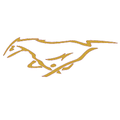 Mustangs mascot photo.
