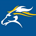 Mustangs mascot photo.