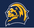 Lions mascot photo.