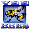 Vee Bees mascot photo.