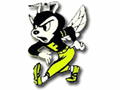 Yellowjackets mascot photo.