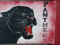 Panthers mascot photo.