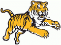 Tigers mascot photo.