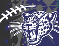Jaguars mascot photo.