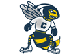 Yellowjackets mascot photo.