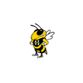 Sting mascot photo.