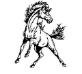Mustangs mascot photo.