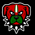 Renegades mascot photo.