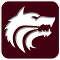 Timberwolves mascot photo.