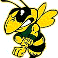 Yellowjackets mascot photo.