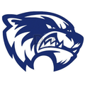 Wolverines mascot photo.