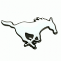 Colts mascot photo.