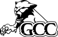 Cougars mascot photo.