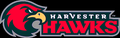 Hawks mascot photo.