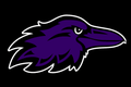 Ravens mascot photo.