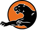 Panthers mascot photo.
