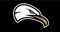 Seagulls mascot photo.